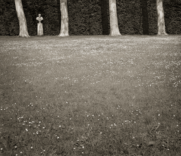 dow-meadow-columns-boboli dow-meadow-columns-boboli