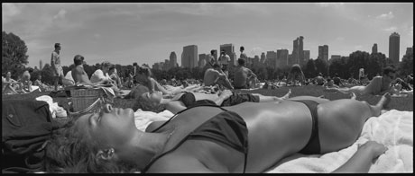 davidson-sunbather-panoramic davidson-sunbather-panoramic