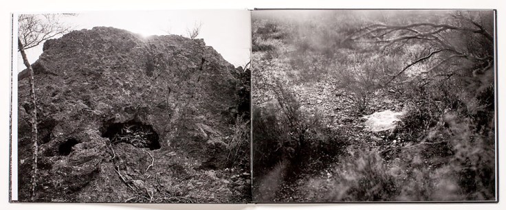 Michael_Lundgren-Transfigurations_4