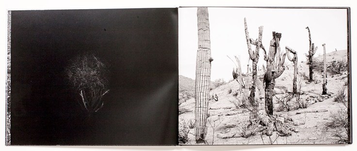 Michael_Lundgren-Transfigurations_5