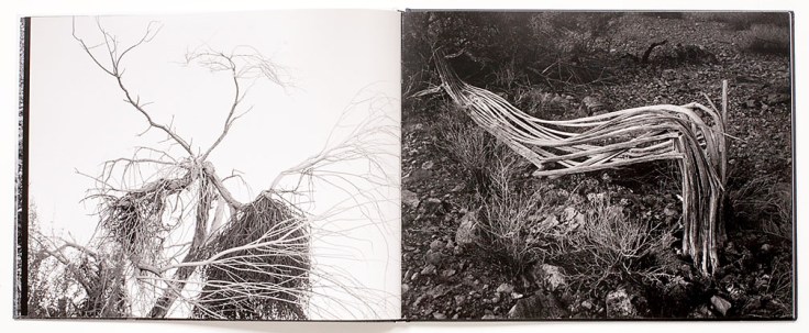 Michael_Lundgren-Transfigurations_7