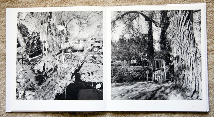 Lee_Friedlander-New_Mexico_3