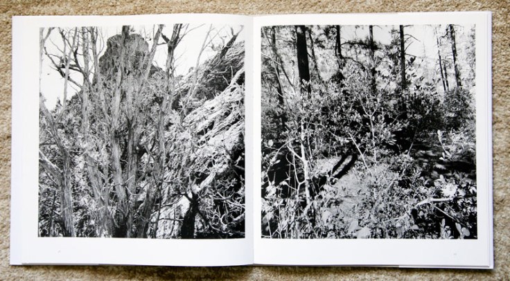 Lee_Friedlander-New_Mexico_5