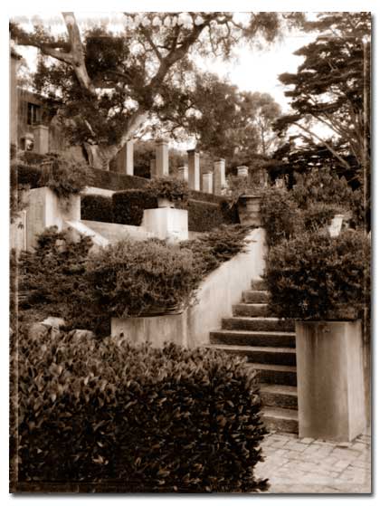 mitchell-transitions