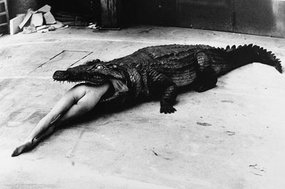helmut_newton_alligator_still helmut_newton_alligator_still