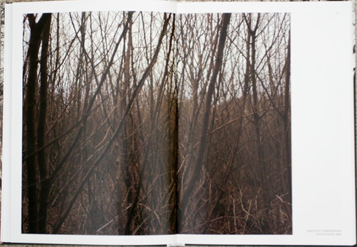 waplington5 waplington5