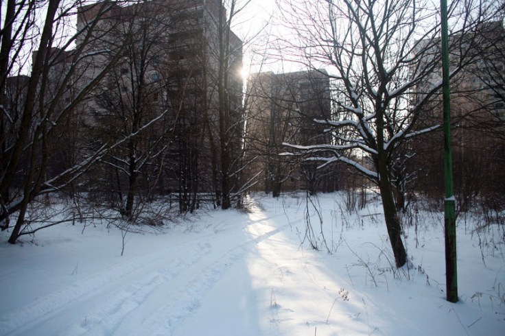 weber-urban-landscape