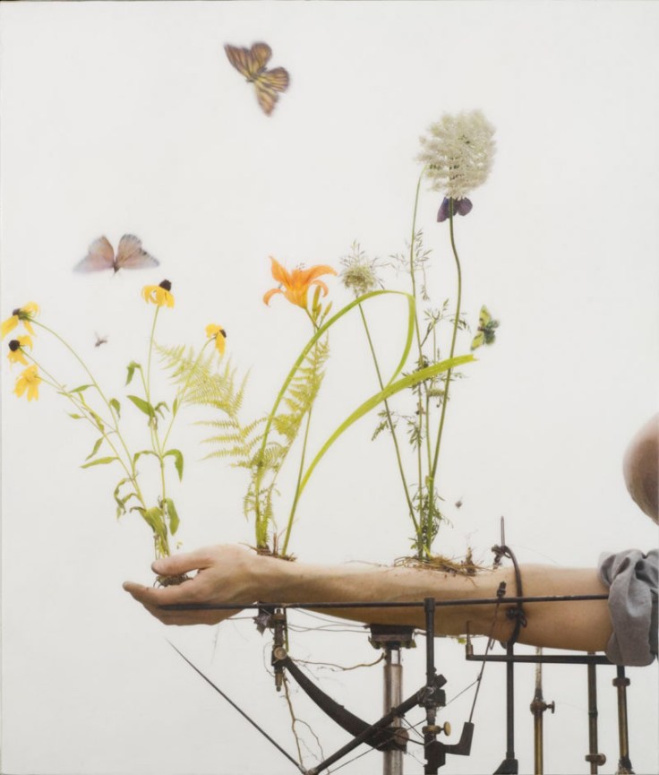 ParkeHarrison_SummerArm