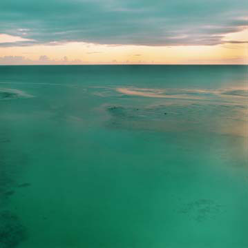 Untitled_E Untitled_E