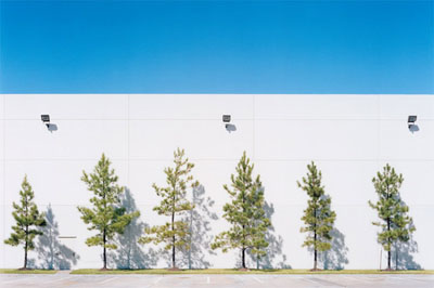 pinetrees_landscaping