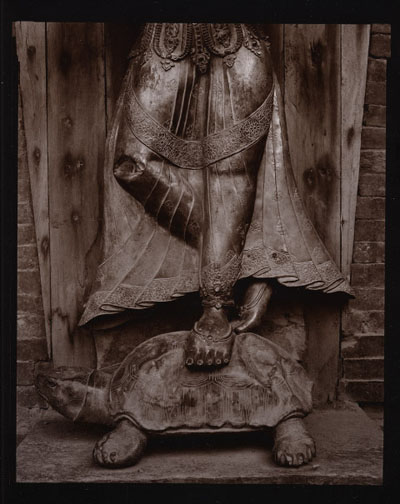 49_Goddess_with_Turtle