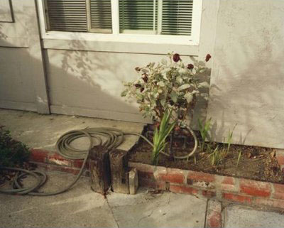 Shimizu_Portraits_of_Silence_McCaffery