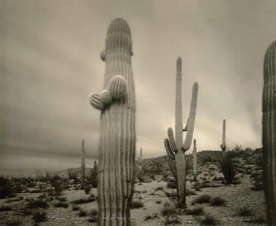 Storm_clouds_moving_fast_one_hour Storm_clouds_moving_fast_one_hour