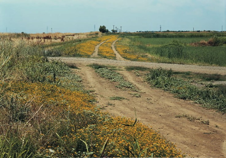 Felzmann_crossroads_landscape_32