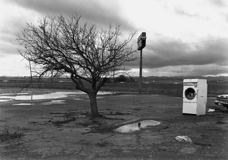 Felzmann_Washingmachine_landscape_77