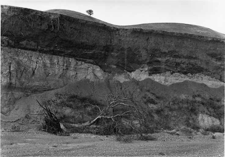 Margins_of_the_valley-felzmann