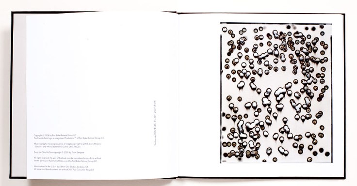 Chris_McCaw_Sunburn_1