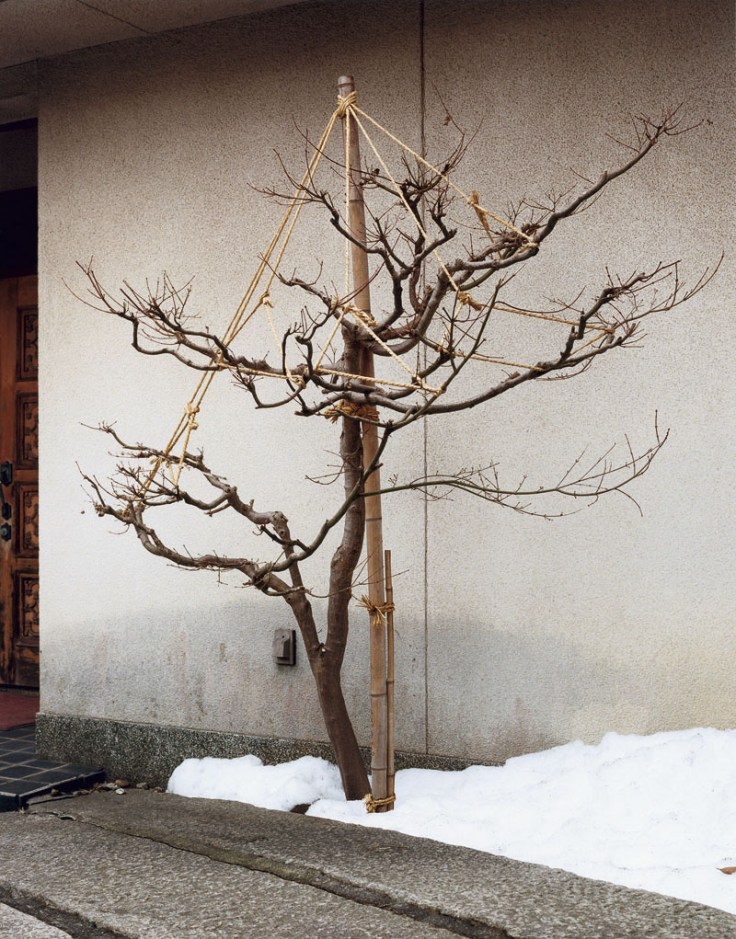 Phelps_Not_Niigata_plate-20