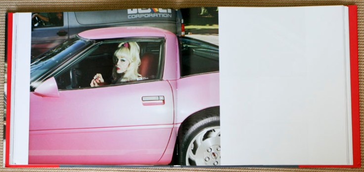 Andrew_Bush_Blonde_Pink_Vette