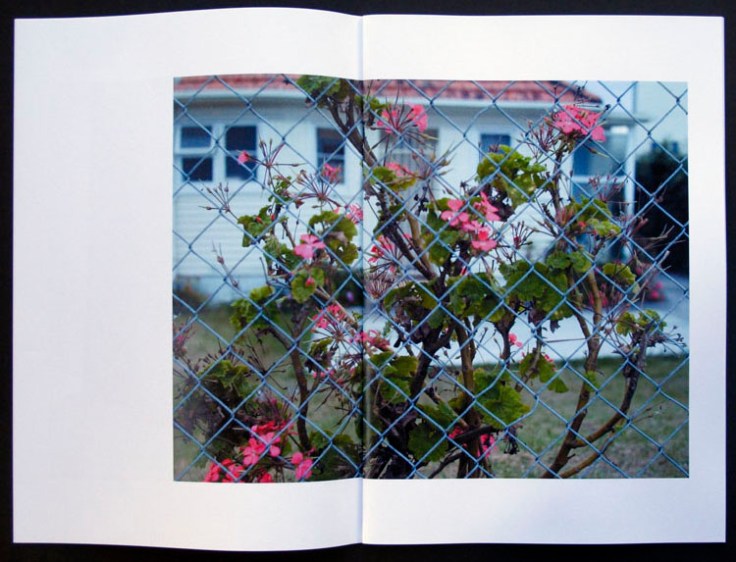Benge_Against_Forgetting_flower-fence