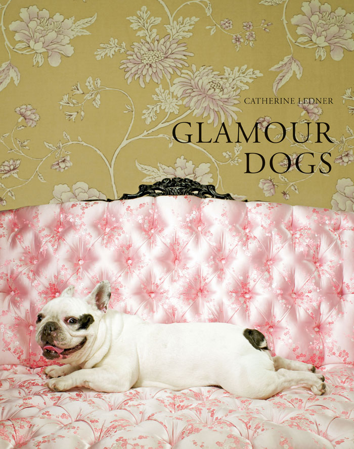 GlamourDogs_sales:Layout 1
