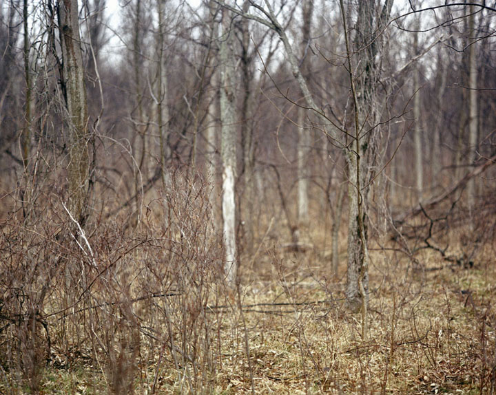 Danielle_Mericle-Seneca-Ghosts_2