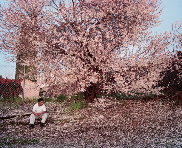 Sultan_Antioch_Creek