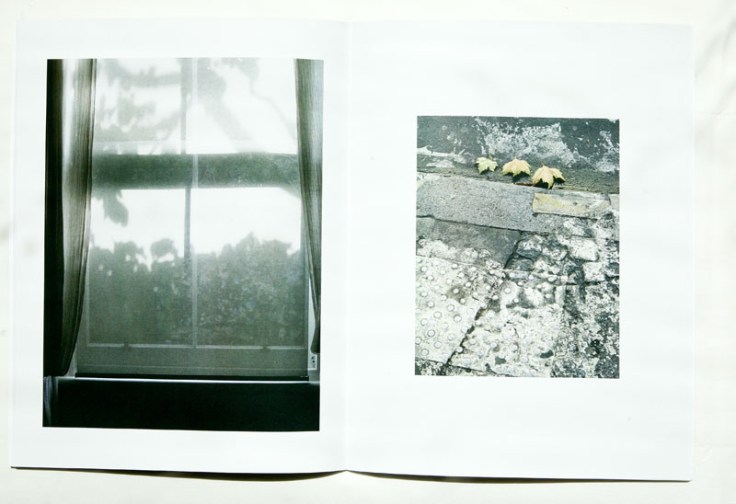 Harvey_Benge-Still_Looking_for_it_2