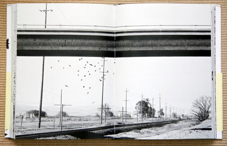 Lukas_Felzmann_Swarm_2