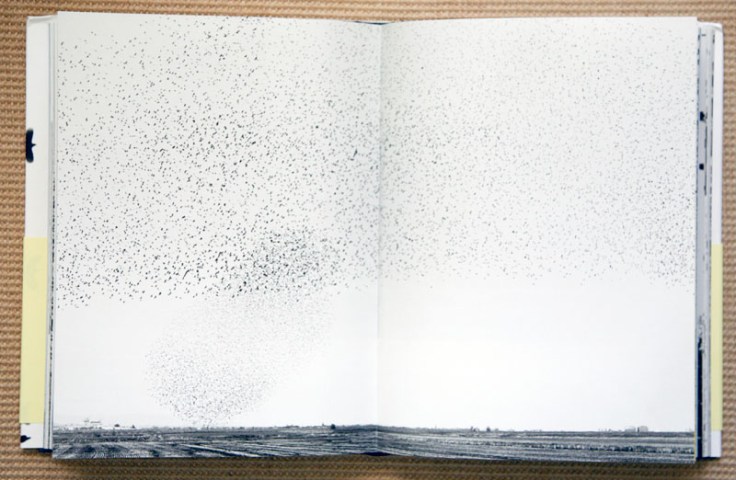 Lukas_Felzmann_Swarm_7