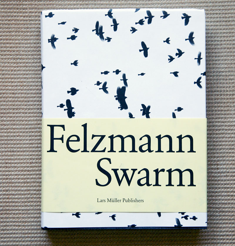 Lukas_Felzmann_Swarm_cover