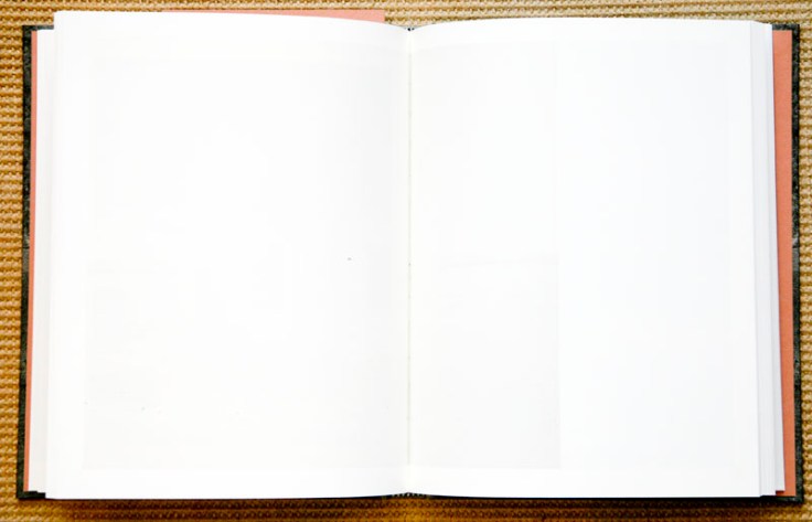 christian_patterson_reheaded_peckerwood_3