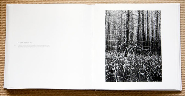 Edward_Weston_Bandon_Oregon_1939