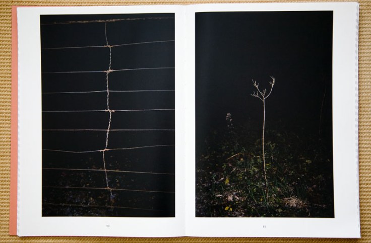 Pietro_Mattoli-Two_Thousand_Light_Year_ from_Home_3