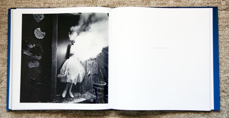 Keith_Carter-Fireflies_2