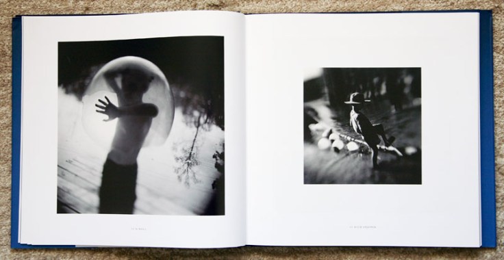 Keith_Carter-Fireflies_3