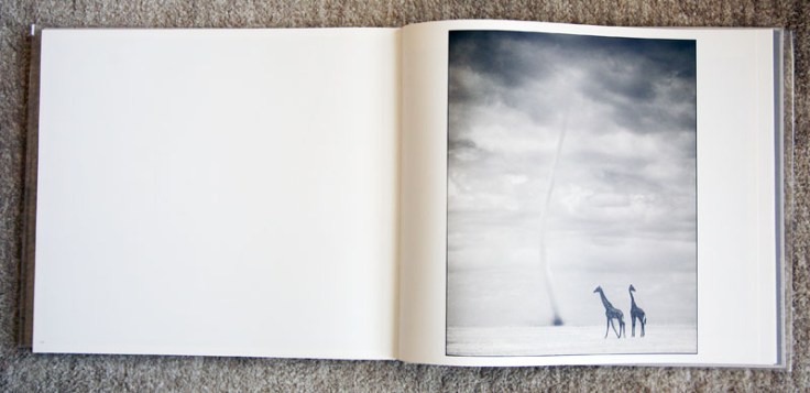 Nick_Brandt- On_This_Earth_A_Shadow_Falls_3