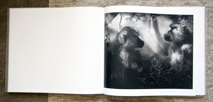 Nick_Brandt- On_This_Earth_A_Shadow_Falls_4