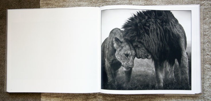 Nick_Brandt- On_This_Earth_A_Shadow_Falls_6