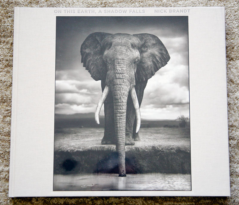 Nick_Brandt- On_This_Earth_A_Shadow_Falls_cover