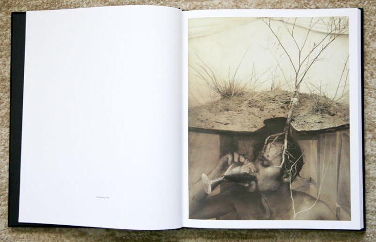 Robert_&_Shana_ParkeHarrison-The_Architects_Brother_1