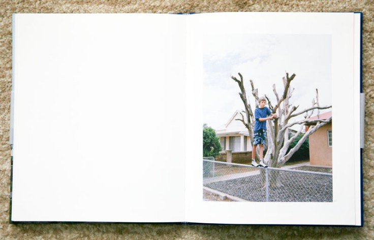 Amy_Stein-Stacy_Arezou_Mehrfar-Tall_Poppy_Syndrome_3