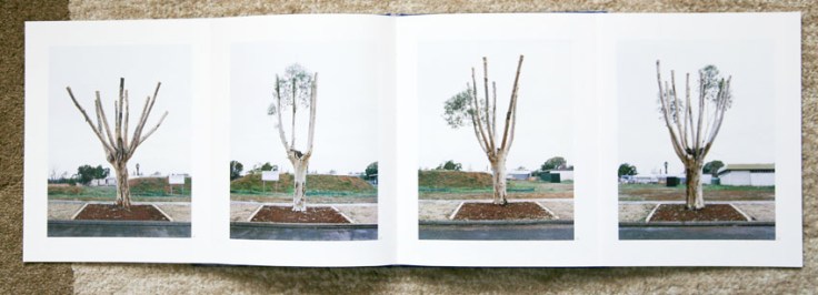 Amy_Stein-Stacy_Arezou_Mehrfar-Tall_Poppy_Syndrome_5