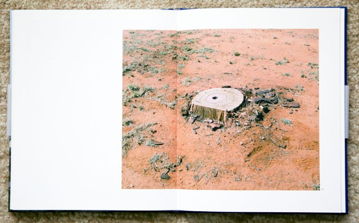 Amy_Stein-Stacy_Arezou_Mehrfar-Tall_Poppy_Syndrome_7