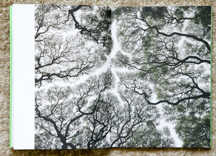 Matias_Costa-The_Family_Project_2