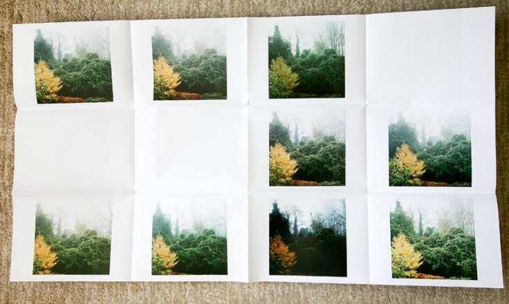 Meme_Bartels-Monochrome_1