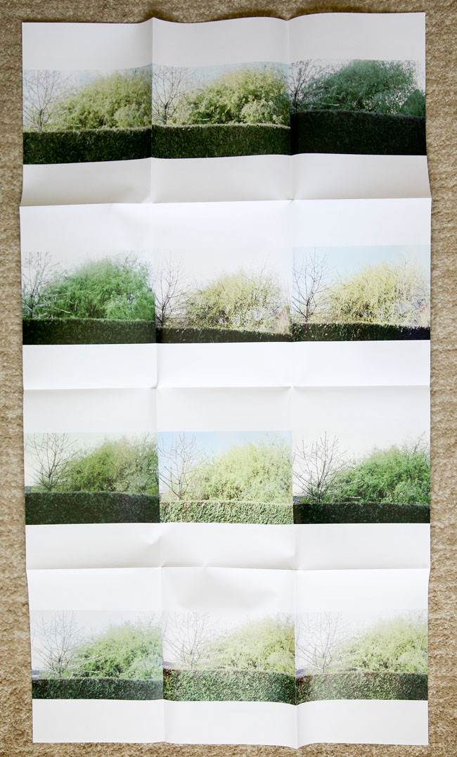 Meme_Bartels-Monochrome_3