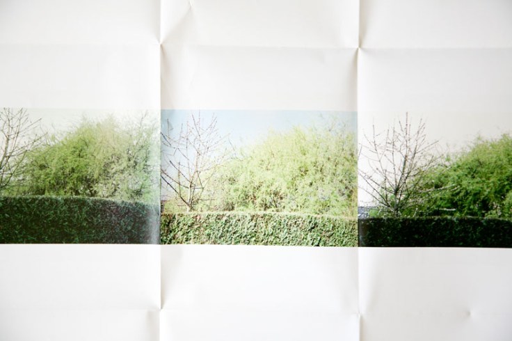 Meme_Bartels-Monochrome_4