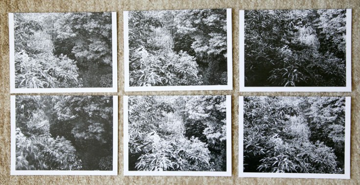 Meme_Bartels-Monochrome_6