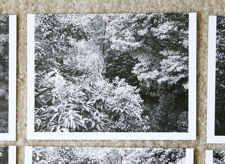 Meme_Bartels-Monochrome_7